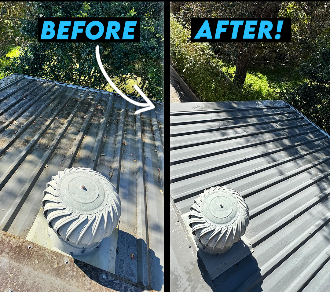 Roof Cleaning Before & After (Metal Sheet)