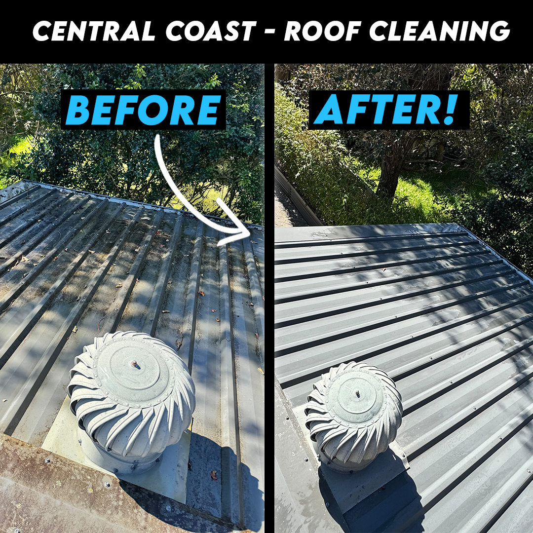 Roof Cleaning Before & After (Metal Sheet)